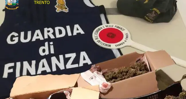 Arrestato il muratore con la Mercedes «notato» dalla Finanza: in casa aveva chili di marijuana, serpenti e tartarughe