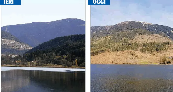 Serraia, così cambia il giro al lago un anno dopo la tempesta Vaia