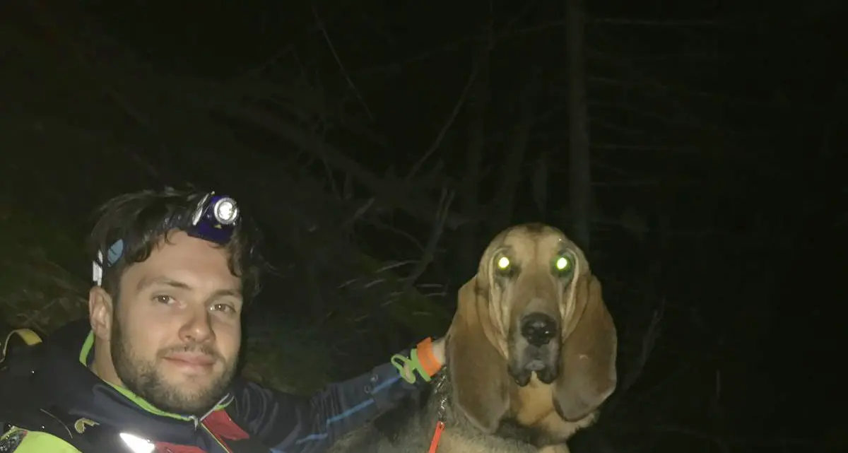 Va a funghi con il marito dispersa nei boschi di Lagolo è stata ritrovata sana e salva
