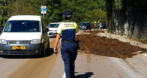 Il camion perde il carico e il letame invade la strada