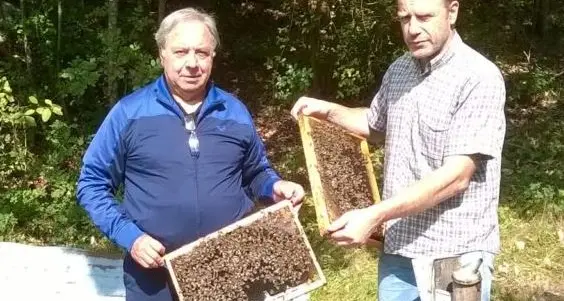 Il miele di rododendro di Oreste Risatti di Ledro è fra i migliori d'Italia