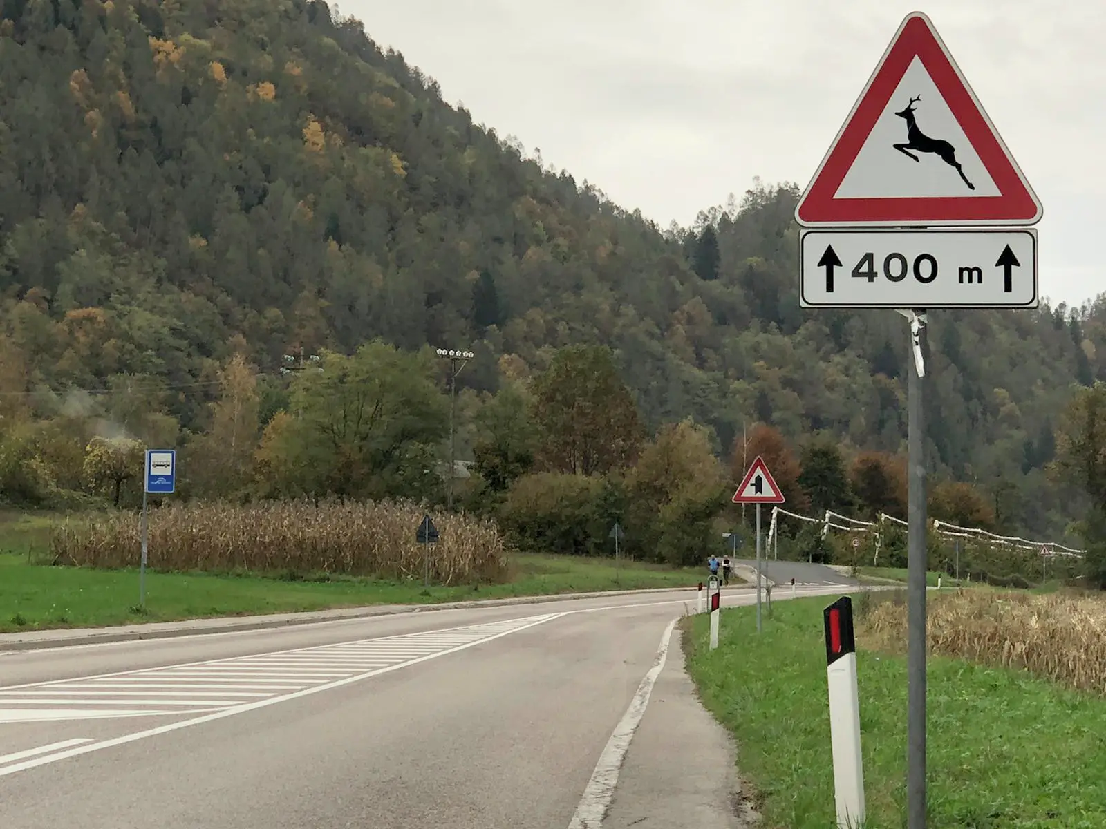 PERGINE - IL LUOGO DELLO SCONTRO TRA AUTO E CERVO