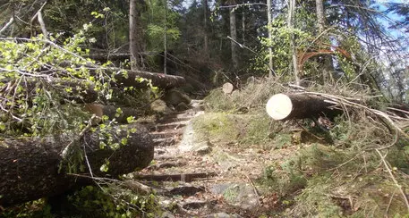 Parco Adamello Brenta: il 90% dei sentieri è di nuovo percorribile