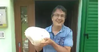 Una vescia da 2,5 chili nei boschi di Nosellari