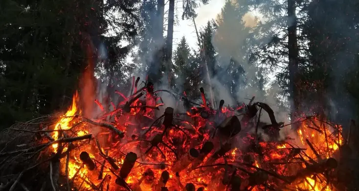 Incendia i boschi in Panarotta Piromane denunciato dai forestali