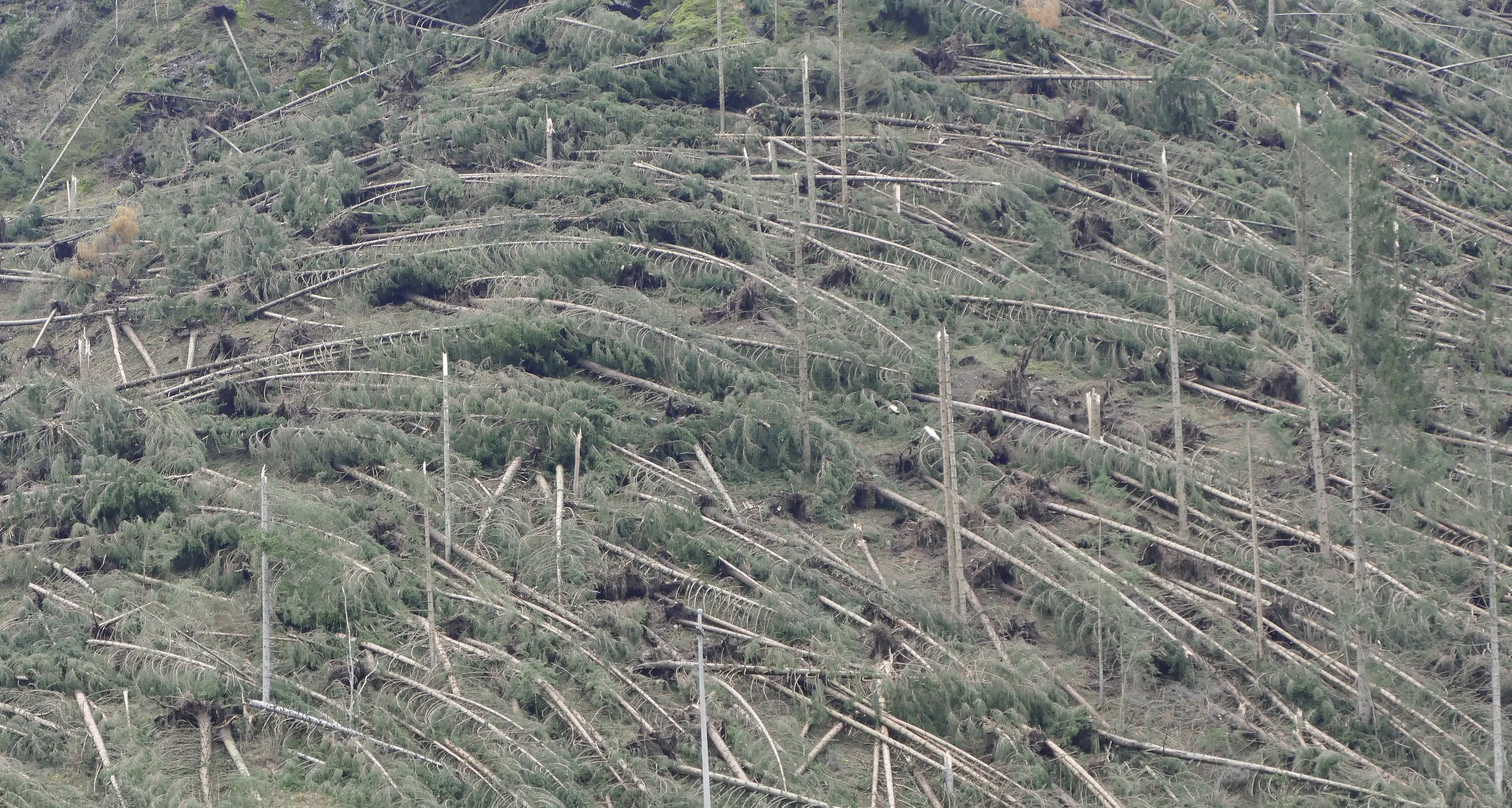 Ambiente, Leggimontagna premia Cason e Nardelli per \"Il monito della ninfea\"