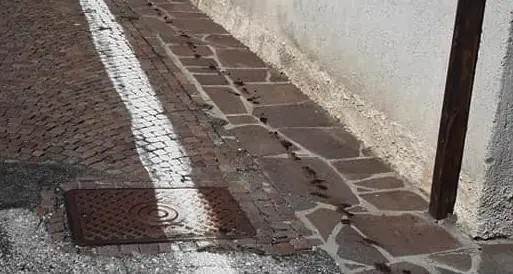 Sterco dove si ferma lo scuolabus per far spostare gli scolari