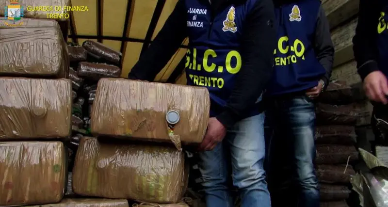 La droga anche vicino a scuola: la Finanza smantella la rete dei narcotrafficanti campani e foggiani