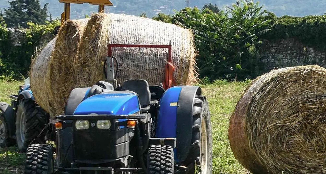 Vanoi: litiga col vicino lo aspetta con il trattore e lo ferisce con la balla di fieno