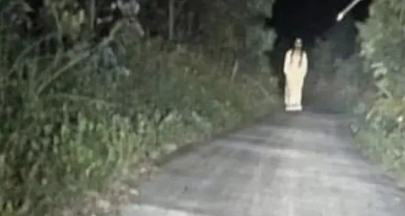 \"Samara\" anche in Trentino ieri sera segnalazione nella zona di Novaledo