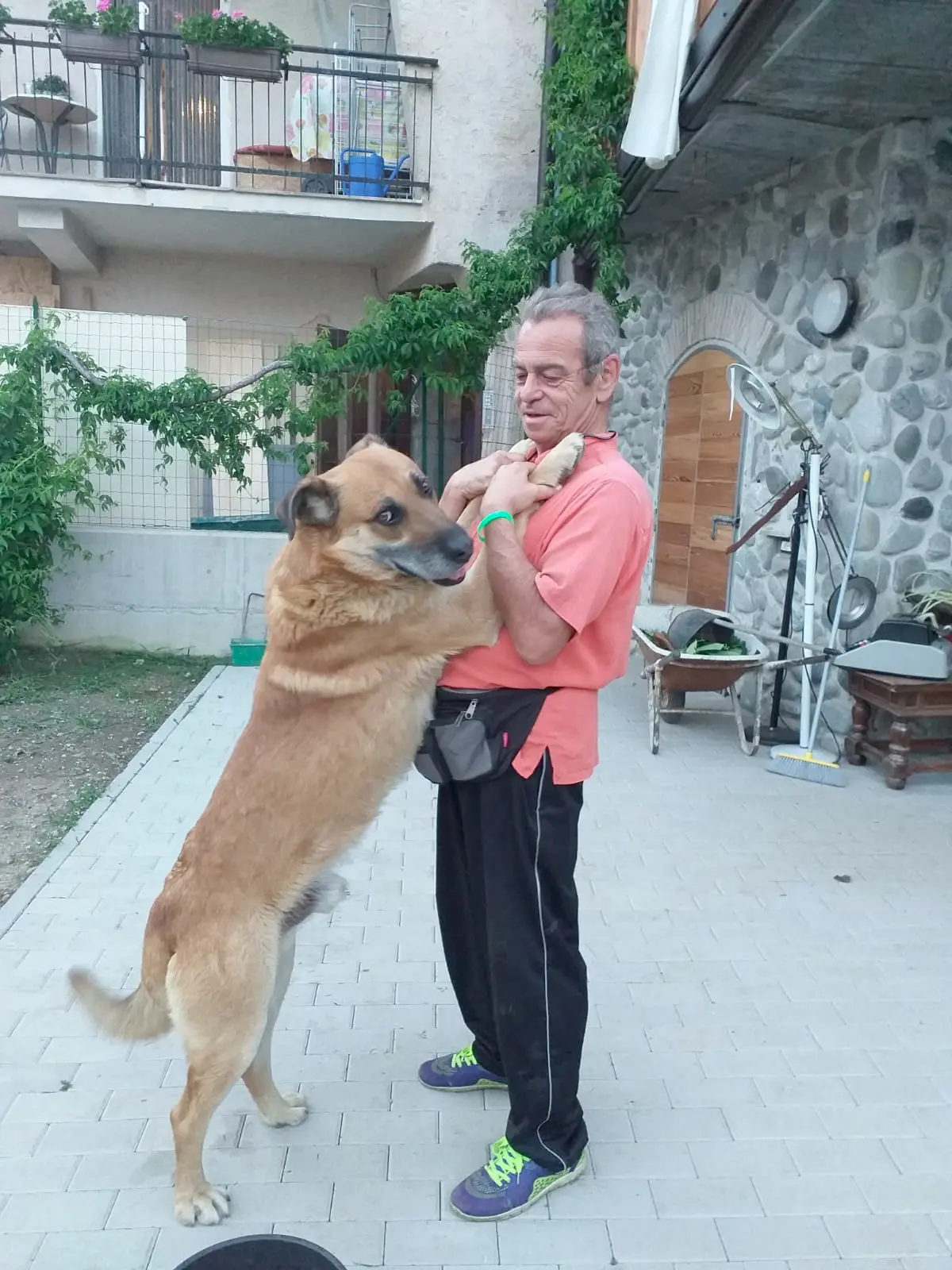 Maltrattamento cani: la nuova vita di Solo che oggi si chiama Lucky con il suo proprietario