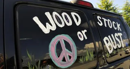 I 50 anni di Woodstock: salta il mega-concerto per celebrare l'evento
