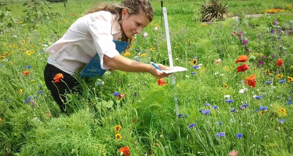 Professionisti del verde con un corso di due anni