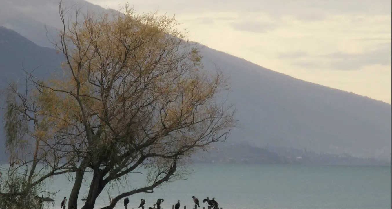 La salute del lago di Garda: in 30 anni la temperatura è salita d 1,6 gradi