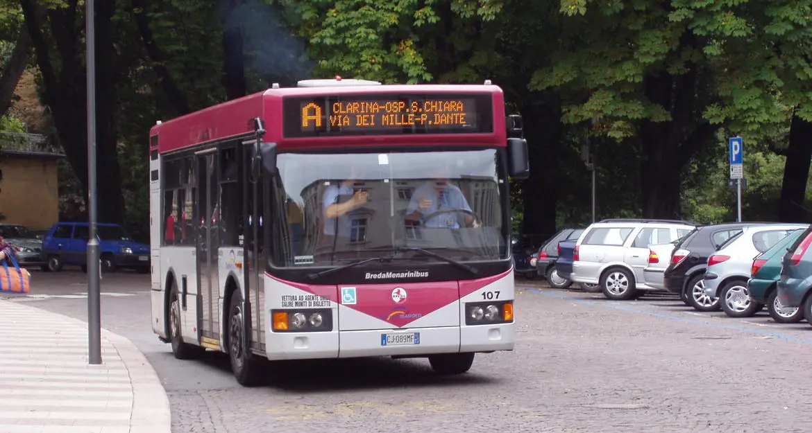 Bus e corriere, mancano autisti Ecco gli aiuti per fare la patente