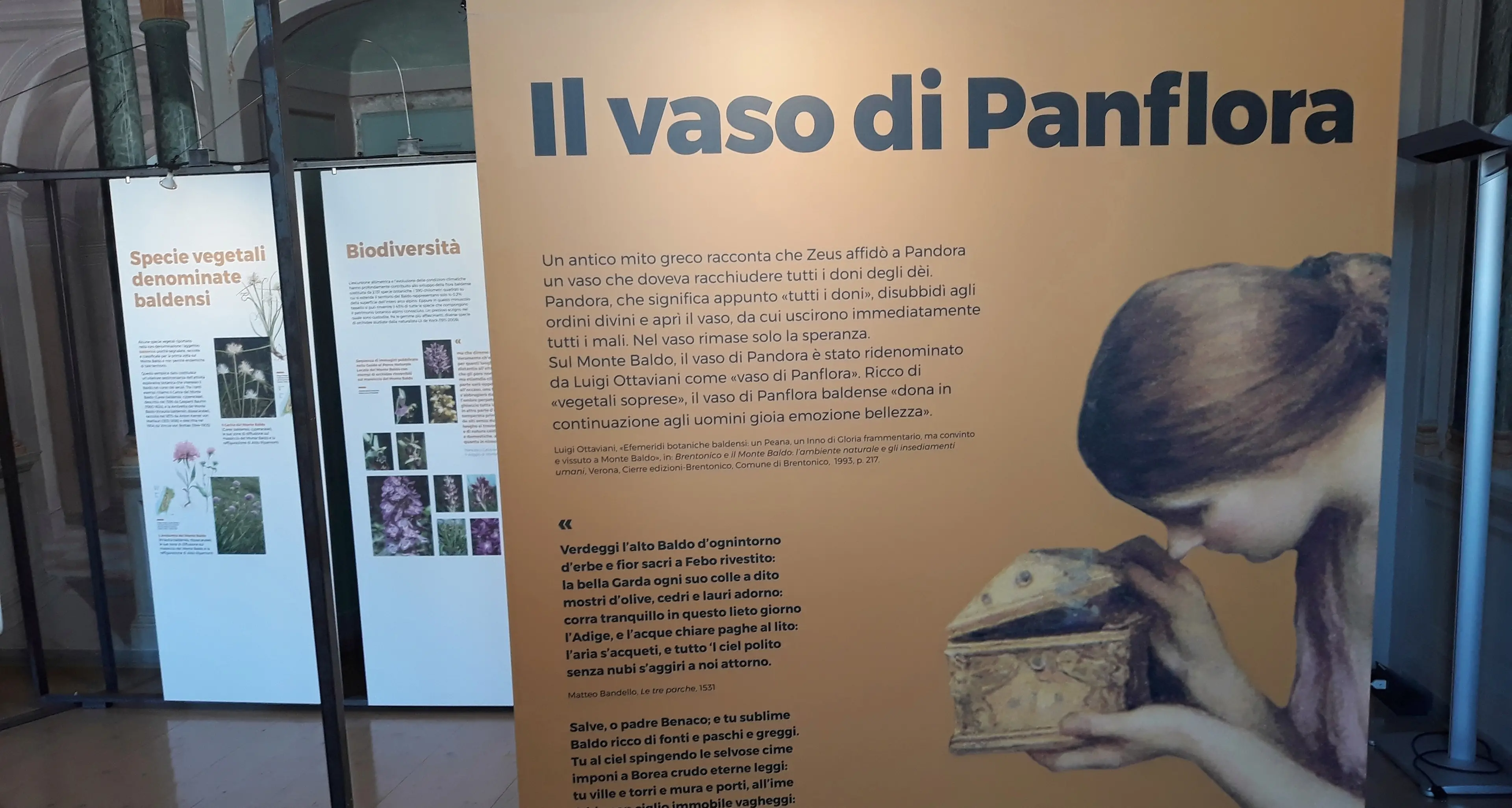 Viaggio botanico alla scoperta del Baldo