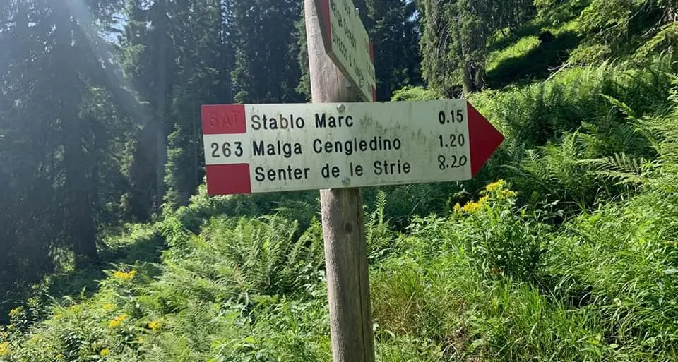 Segnaletica Sat manomessa sui sentieri delle Giudicarie fototrappole contro i bontemponi