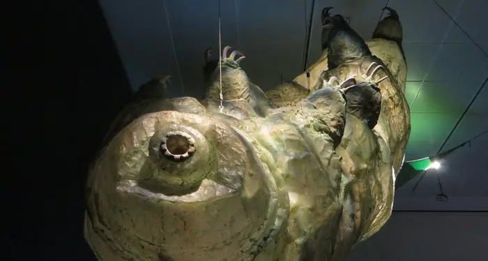 Mini-invertebrati finiti sulla Luna ipotesi missione di recupero per la sonda israeliana