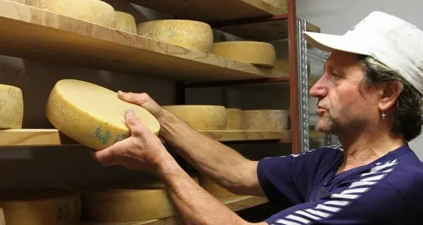 Do you love casolét? Da domani a Malé la festa del formaggio