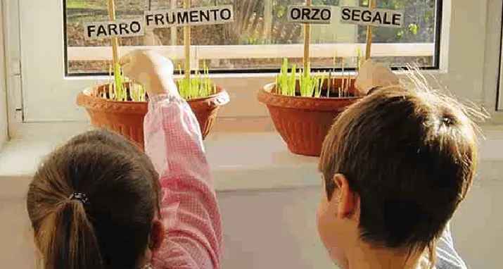 Scuole dell'infanzia, arrivano i tamponi Ma solo su base volontaria Le linee guida: bambini senza mascherina
