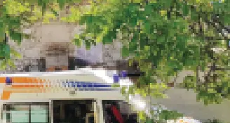 Miola: cade da un albero è ferito grave