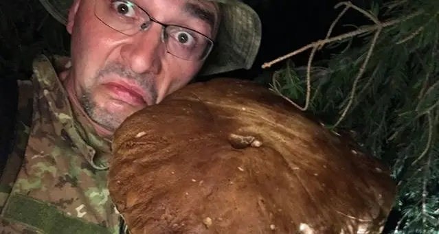 Trovano porcini giganti: una coppia da 4 chili e uno di quasi 2 e mezzo