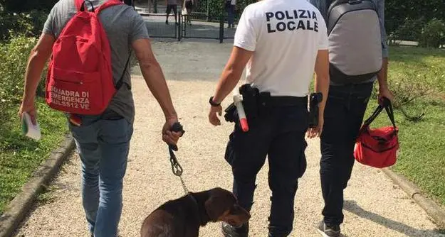 Picchia e maltratta il cane Denunciato un mendicante