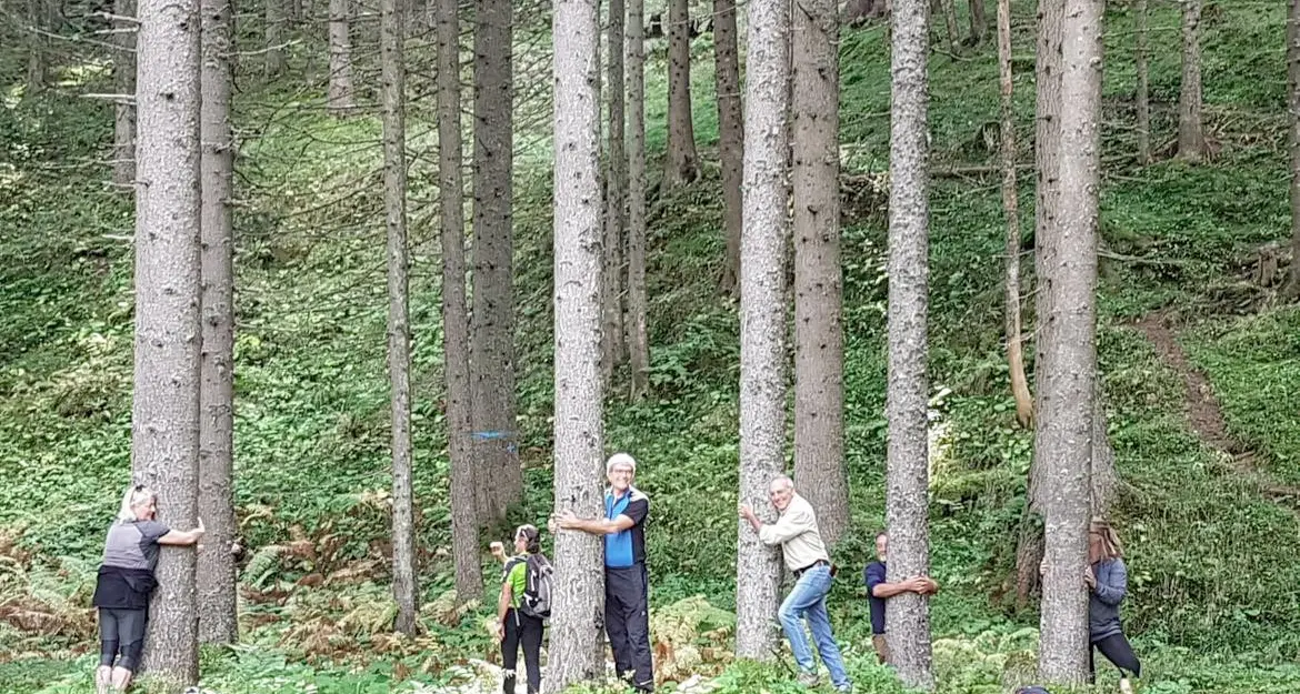 Un \"abbraccio di alberi\" per battere il record
