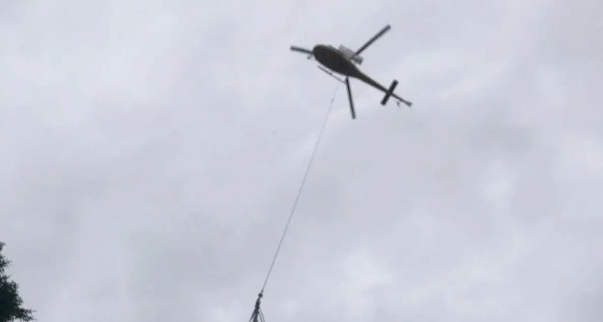 Il video dell'orsa con piccolo in Val Daone: in zona dieci mucche morte, forse per il temporale