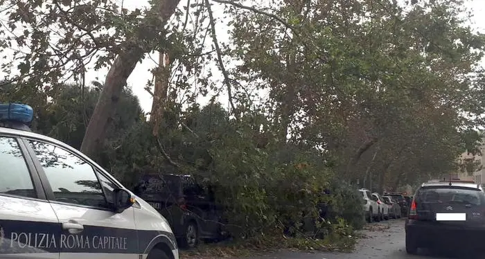 Un'intera famiglia colpita da un ramo caduto a Roma
