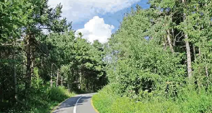 In fuoristrada sulla ciclabile Sfiorati due ciclisti