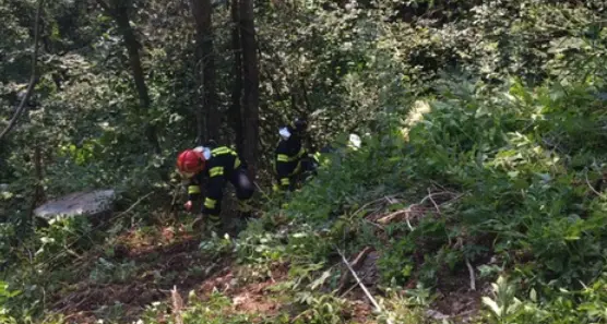 Motociclista esce di strada e vola per 20 metri nel bosco