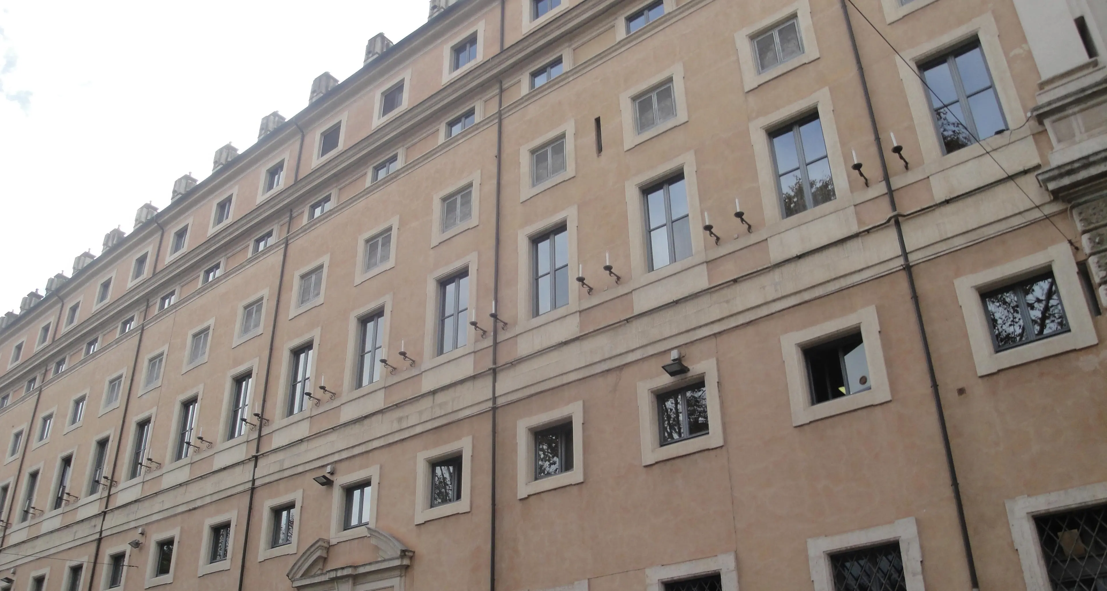 Leggi sul «prelievo» di orsi e lupi quelle di Trento e Bolzano sono legittime, dice la Consulta
