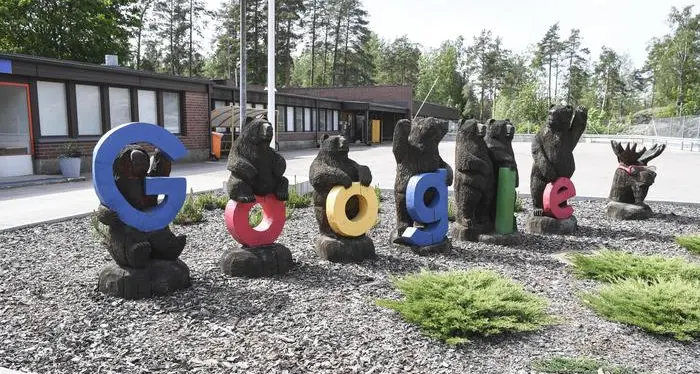 Lo stop dei servizi Google L'esperto: una scelta contro attacchi a siti istituzionali