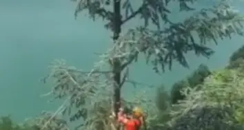 I boscaioli liberano le linee elettriche