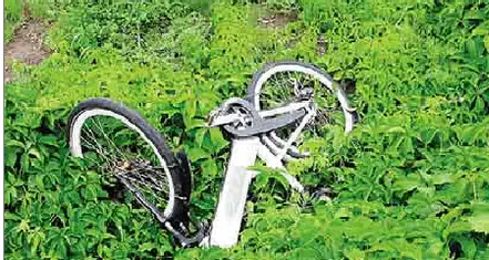 In città 13 nuove stazioni di biciclette \"pubbliche\" Ma intanto i vandali si scatenano sulle e-bike 13 colonnine e 6 bici rotte: danni per 60mila euro