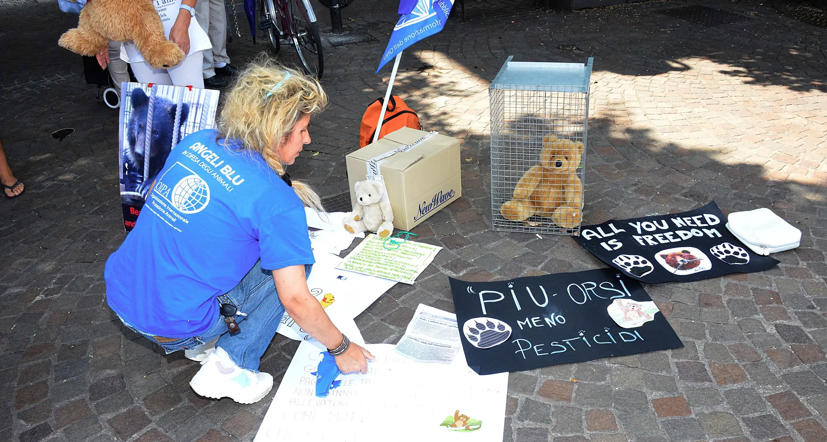 Lega Abolizione della Caccia poco convinta della versione: «che poteri ha quest'orso M49?»