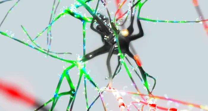 I neuroni del nostro cervello? Odiano la routine, e lavorano in modi diversi per casi diversi