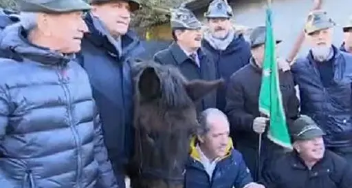 Zaia piange il mulo degli alpini che oggi verrà sepolto a Vittorio Veneto «I suoi occhi mi avevano colpito»