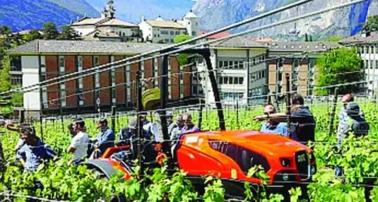 Fondazione Mach, Cooperazione fuori La Provincia prende il controllo Avrà la maggioranza del cda a sette