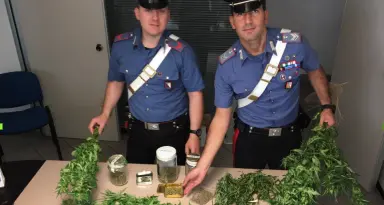 Coltivava la cannabis tra carote e zucchine Nei guai un fassano