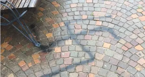 Vergogna a Levico: svastica disegnata nei pressi del Giardino della Memoria