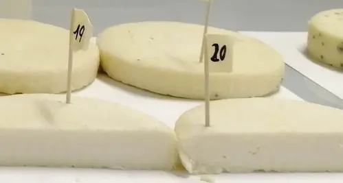 Trovati nei formaggi trentini batteri con proprietà calmanti
