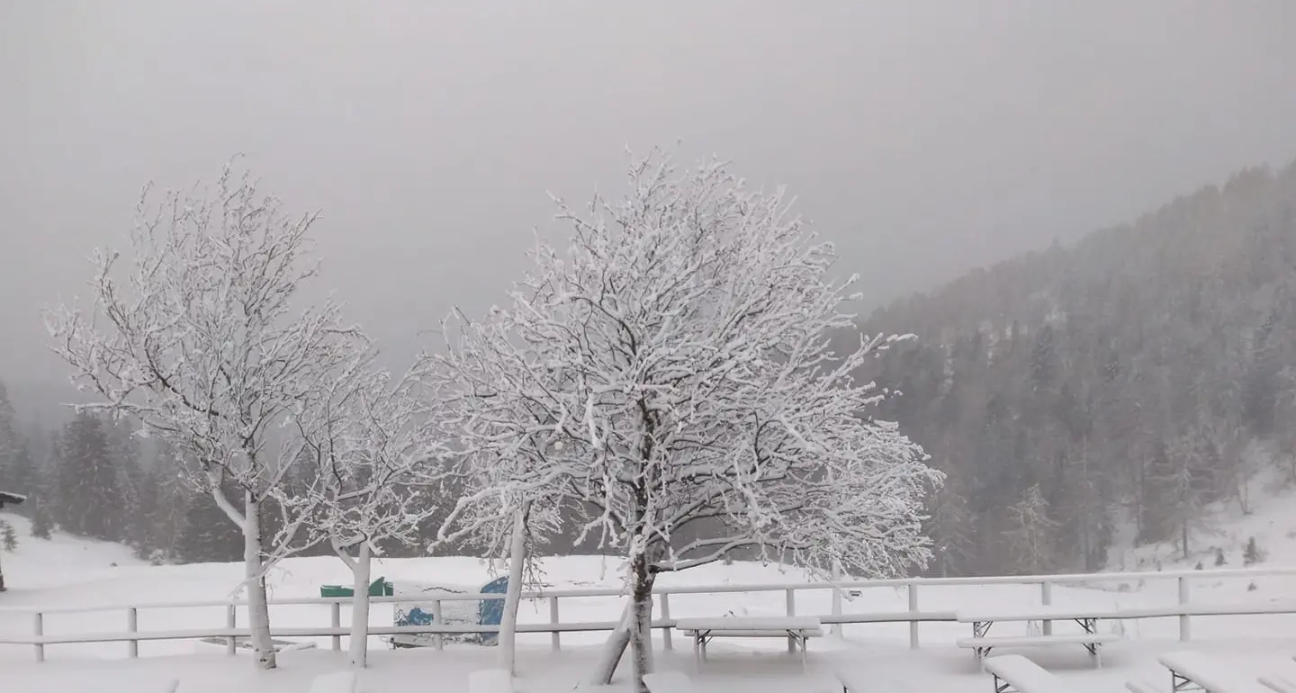 Vento, bufera, nevicate il Trentino di metà maggio è come l'inverno che è mancato