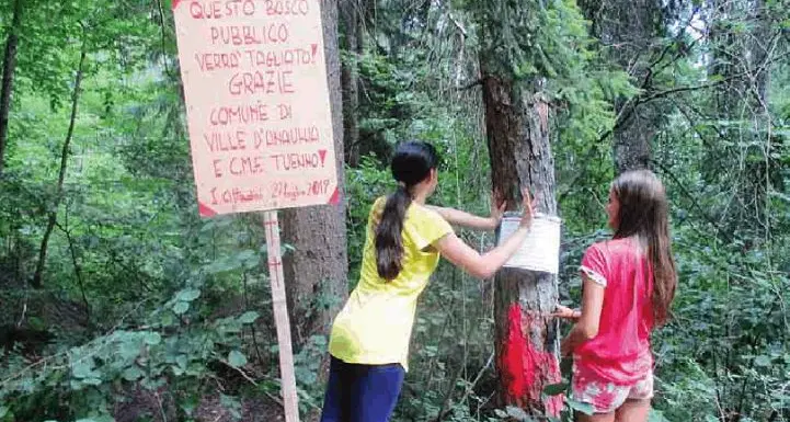 Bonifica, protesta con cartelli: polemiche contro il comune di Ville d'Anaunia
