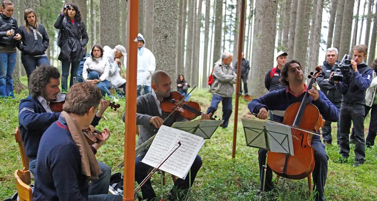 Il legname caduto a Paneveggio rinascerà come violini e strumenti della Liuteria «Stradivari»