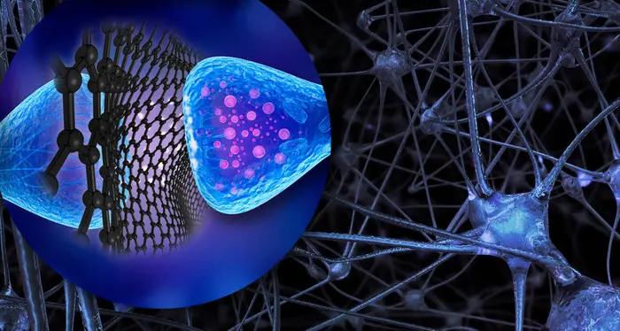 Ricerca: \"fiocchi\" di grafene influenzano i neuroni ed il nostro cervello