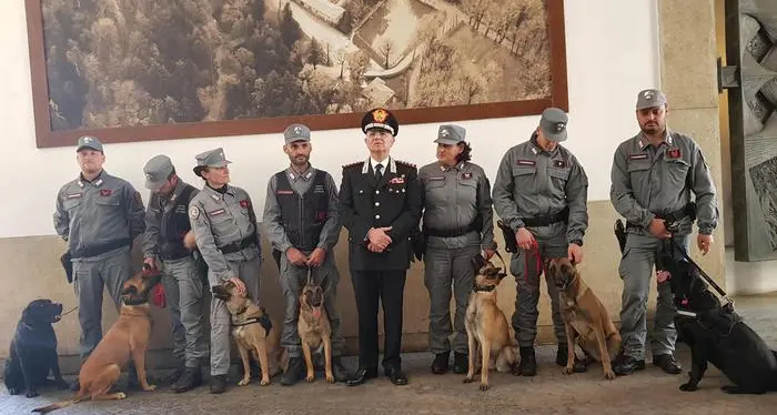 I magnifici 7 dell’antibracconaggio Ecco le prime Unità Cinofile