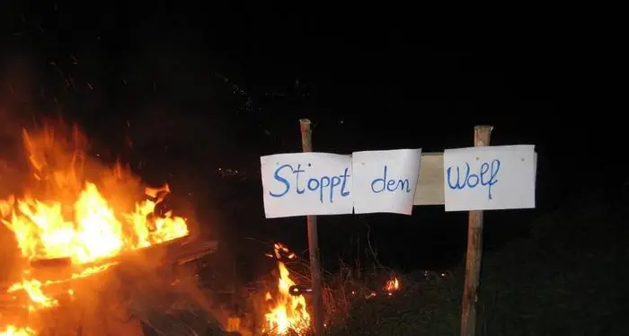 La protesta degli allevatori In montagna falò anti lupo