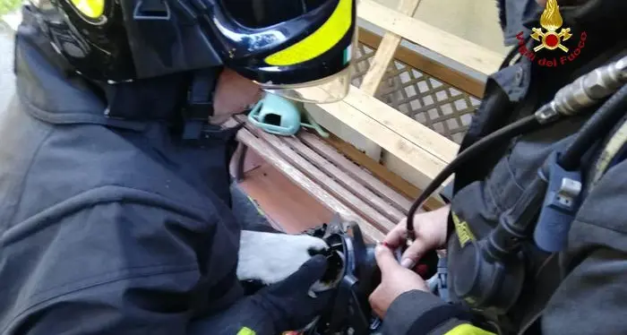 I pompieri salvano un criceto grazie all'autorespiratore